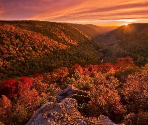 Jesień, Wirginia Zachodnia, Stany Zjednoczone, Promienie słońca, Wzgórza, Drzewa, Skały, Park stanowy Blackwater Falls