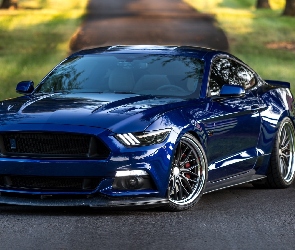 Niebieski, 2017, Ford Mustang GT