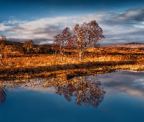 Drzewa, Jesień, Region Highlands, Szkocja, Góry Rannoch Moor, Jezioro Loch Bà