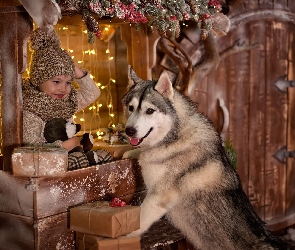 Dziecko, Światełka, Siberian husky, Świątecznie, Pies