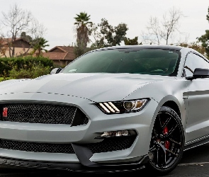 Ford Mustang GT350R, 2018