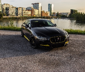 Arden, 2017, Jaguar XE AJ 24