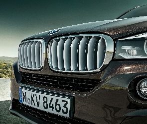 BMW X5 E70, Grill