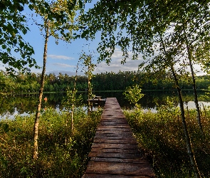 Las, Drzewa, Polska, Mazury, Jezioro Bełdany, Mostek