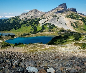 Jeziora, Park prowincjonalny Garibaldi, Kolumbia Brytyjska, Drzewa, Góry, Kanada, Stratowulkan Mount Garibaldi