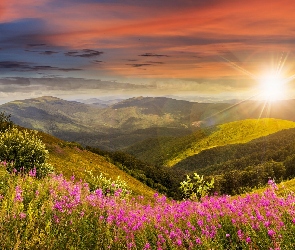 Góry, Promienie słońca, Kwiaty, Roślinność, Doliny