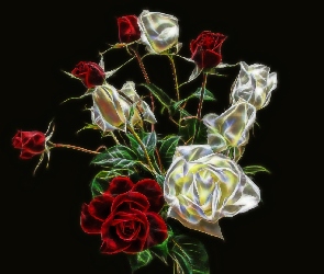 Róże, Fractailus