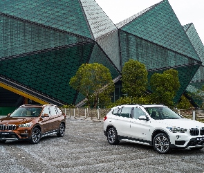 BMW X1 F48, Dwa, Brązowy, Biały