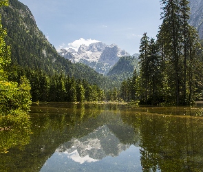 Góry Dachstein, Las, Austria, Drzewa, Chmury, Jezioro Gosauseen, Mgła, Niebo