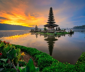Mgła, Bali, Kwiaty, Świątynia Pura Ulun Danu Bratan, Indonezja, Góry, Drzewa, Kanna, Wschód słońca, Jezioro Bratan