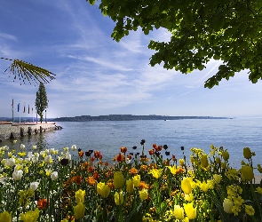 Tulipany, Jezioro Bodeńskie, Niemcy, Wyspa Mainau Bay