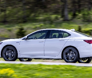 Biała, Bok, Acura TLX