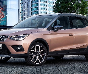 Seat Arona, 2017