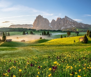 Drzewa, Łąka, Domy, Kwiaty, Góry Sassolungo, Dolina Val Gardena, Włochy, Dolomity, Płaskowyż Seiser Alm, Mgła