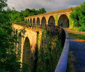 Roślinność, Droga, Ogrodzenie, Drzewa, Atrakcja Chirk Aqueduct, Wiadukt, Miejscowość Chirk, Hrabstwo Shropshire, Most, Walia