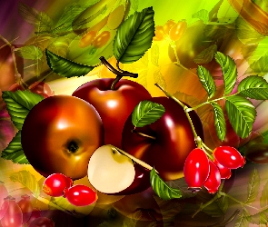 Grafika, Dzikiej róży, Jabłka, Owoce