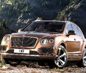 SUV, Przód, Bentley Bentayga