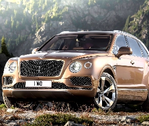 Bentley Bentayga, Przodem