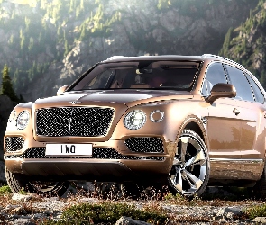 Przodem, Bentley Bentayga