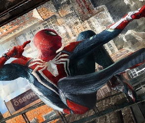 Gra, Człowiek pająk, Spider-Man
