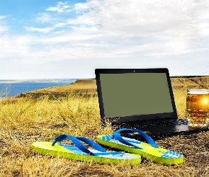Japonki, Piwo, Kupel, Laptop, Trawa