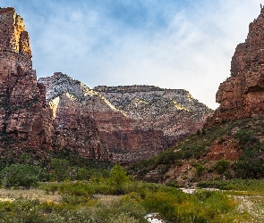 Niebo, Drzewa, Góry, Trawa, Formacja skalna Angels Landing, Kanion, Skały, Stan Utah, Park Narodowy Zion, Stany Zjednoczone