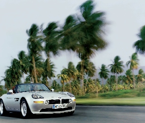 BMW Z8, Palmy