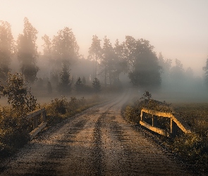 Droga, Trawa, Drzewa, Mostek, Mgła