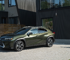 Zielony, Lexus UX200