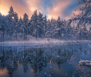 Gmina Ringerike, Zachód słońca, Norwegia, Zima, Las, Śnieg, Drzewa, Jezioro
