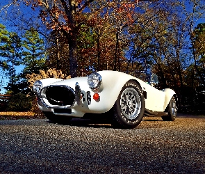 Zabytkowy, 1967, Shelby, AC Cobra 427