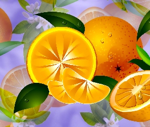 2D, Pomarańcze