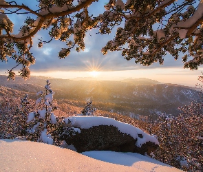 Drzewa, Promienie słońca,  Zima, Wzgórza, Kraj Ałtajski, Góry, Rosja, Biełokuricha