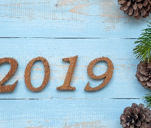 2019, Deski, Szyszki, Gałązki, Nowy Rok