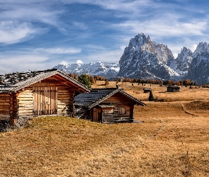 Płaskowyż Seiser Alm, Drzewa, Drewniane, Włochy, Domki, Wzgórza, Dolina Val Gardena, Góry Sassolungo, Dolomity