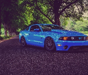 Niebieski, Ford Mustang Shelby GT700