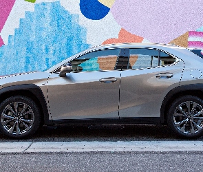 Lexus UX, Bok