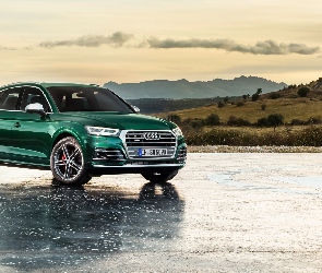 Zielone, Audi Q5 TFSI Quattro