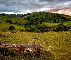 Wzgórza, Trawa, Ławka, Drzewa, Chmury