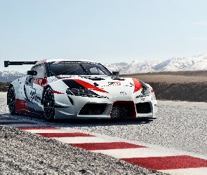 Droga, Samochód rajdowy, Toyota Supra GR