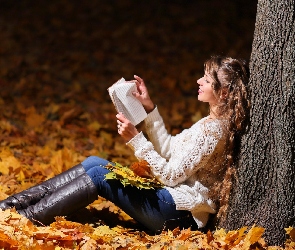 Jesień, Książka, Drzewo, Liście, Kobieta