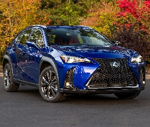 Niebieski, Lexus UX 200 F Sport