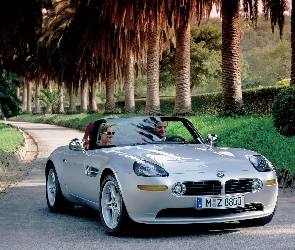 BMW Z8, Palmy