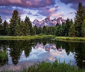 Stany Zjednoczone, Odbicie, Chmury, Stan Wyoming, Góry Teton Range, Rzeka Snake River, Las, Drzewa, Park Narodowy Grand Teton, Ciemne