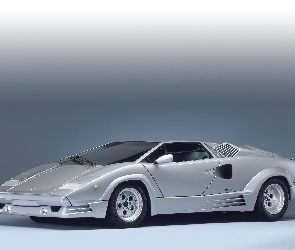 Lamborghini Countach, Wloty, Masywne