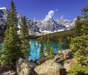 Alberta, Góry, Jezioro Moraine, Kanada, Drzewa, Park Narodowy Banff, Las