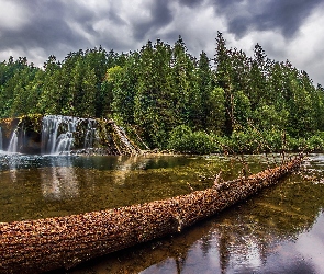 Rzeka Lewis River, Las, Rezerwat Gifford Pinchot, Drzewa, Stan Waszyngton, Wodospad Lower Lewis River Falls, Stany Zjednoczone, Chmury