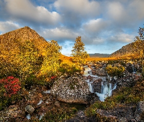 Rzeczka, Strumień, Szkocja, Góry, Góra, Jesień, Skały, Region Highland, Drzewa, Krzewy, Buachaille Etive Mor