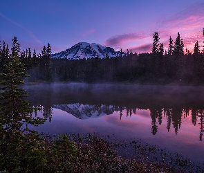 Stany Zjednoczone, Las, Drzewa, Stan Waszyngton, Góra, Jezioro Reflection Lake, Szczyt Mount Rainier, Mgła, Park Narodowy Mount Rainier, Wschód słońca