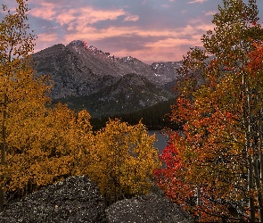 Kolorado, Drzewa, Góry Skaliste, Stany Zjednoczone, Jezioro Bear Lake, Jesień, Park Narodowy Gór Skalistych